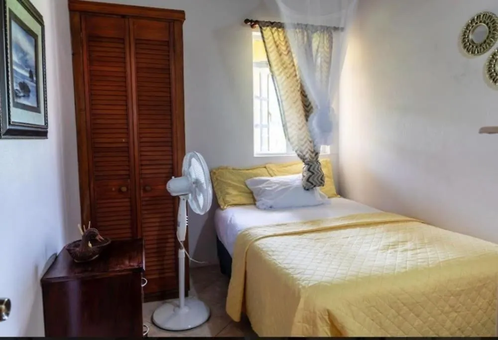 Lush Green Villa With Mountain And Garden View Castries Appartement